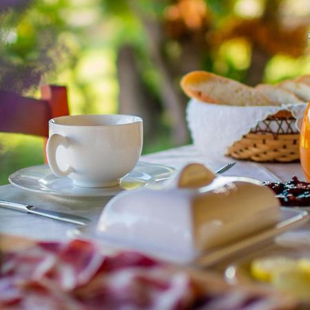 Agriturismo Carrucana Martis エクステリア 写真