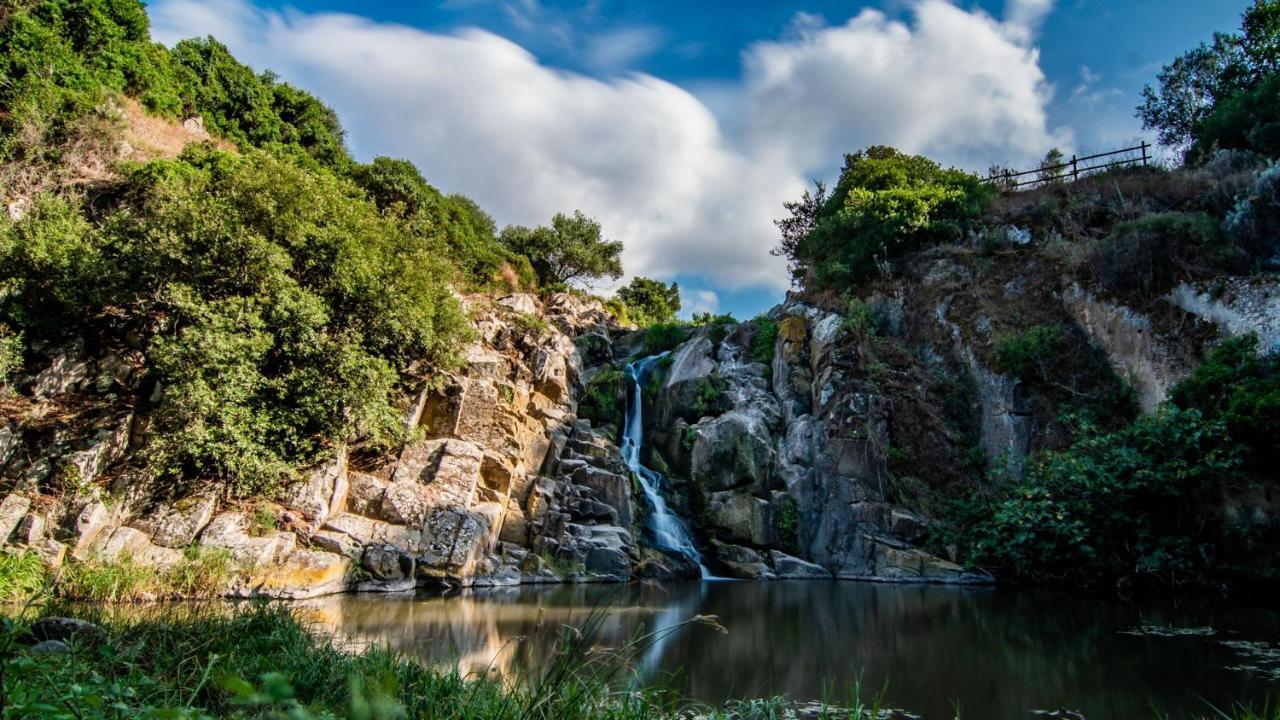 Agriturismo Carrucana Martis エクステリア 写真